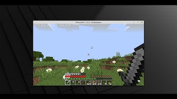 How to install Minecraft on linux Mint 20.1?