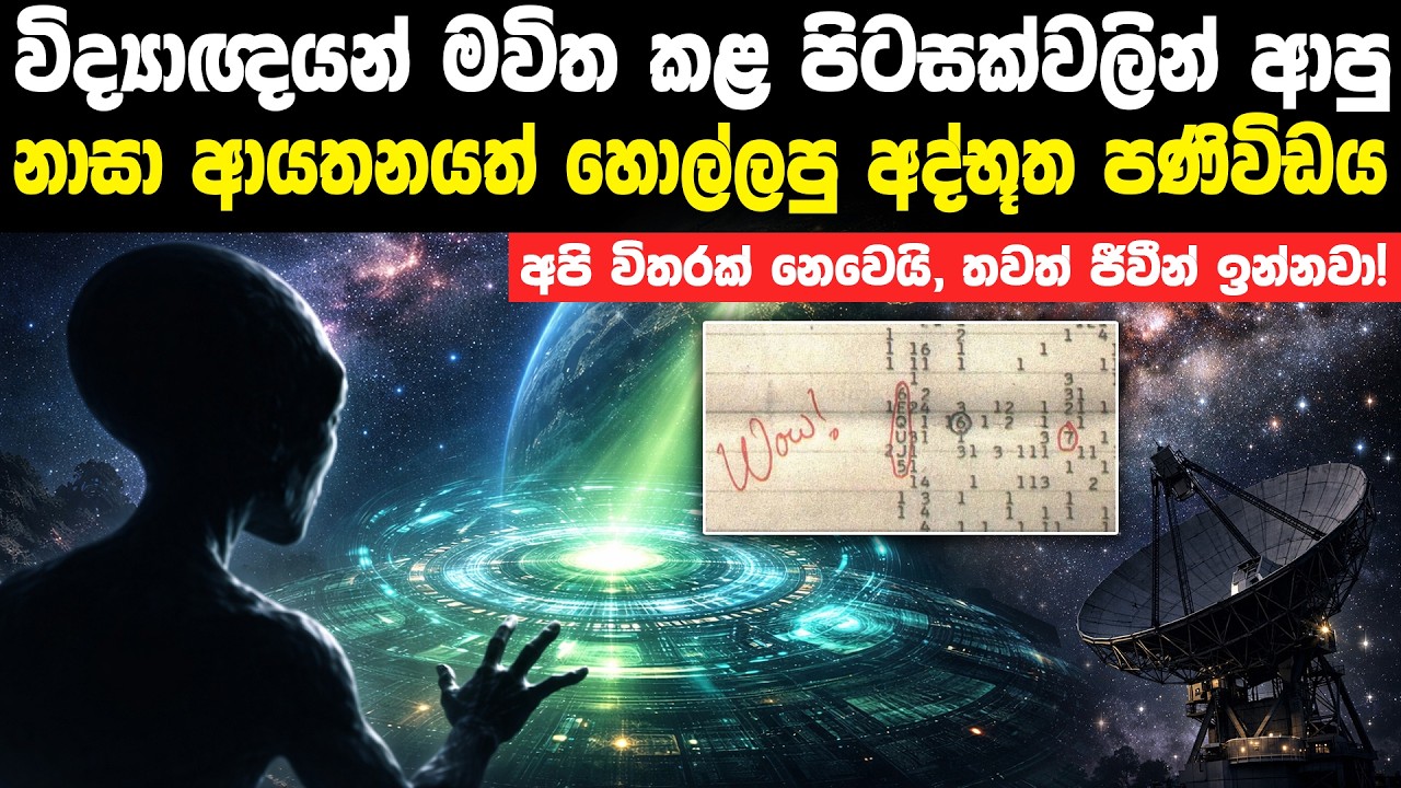 පිටසක්වල ජීවීන් ගැන ලැබුණු ප්‍රබලම සාක්ෂිය | The Wow! Signal And Alien Life