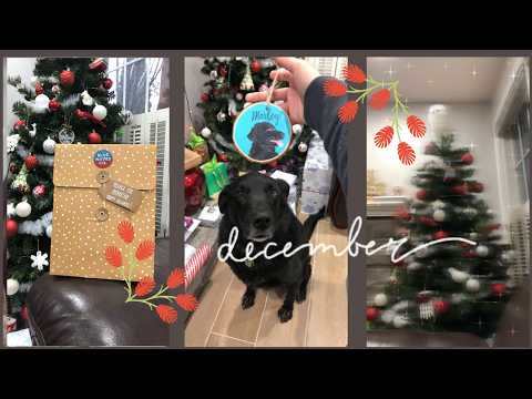 December 2020 Vlog | gifts for friends, decorating & more.