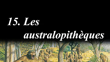 Quand et où vivait l'australopithèque ?