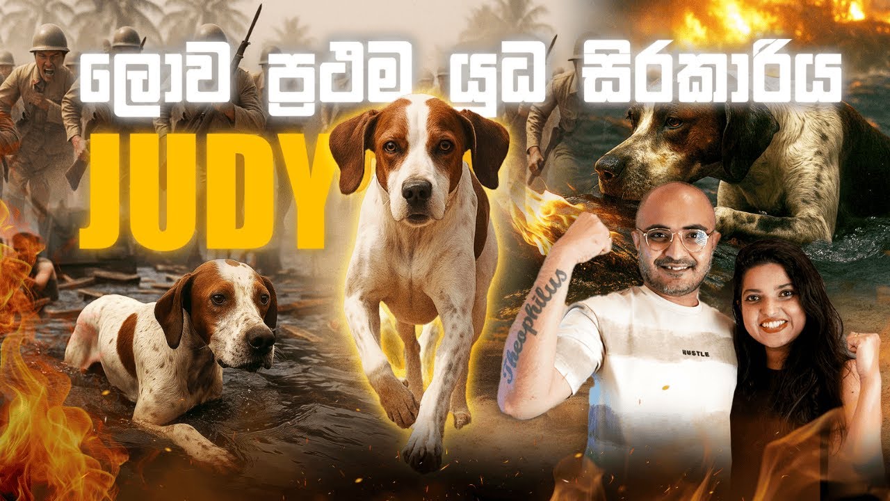 ලොව ප්‍රථම යුධ සිරකාරිය Judy | The Only Dog Registered as a Prisoner Of War in WW2 🐶🎖️💕