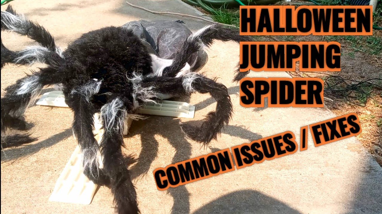 Jumping Spider Halloween Prop 2022