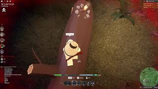 Wild West Hot Tip, Gameplay