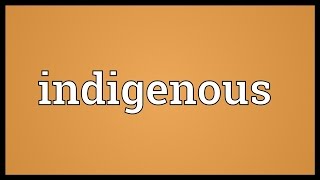 Indigenous Meaning