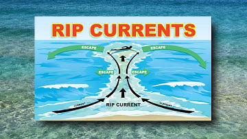 Rip Current Safety