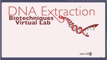 DNA Extraction Virtual Lab