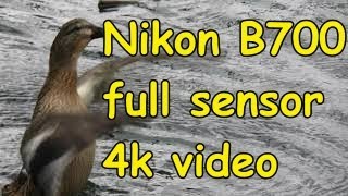 Nikon B700 no-crop 4k video test