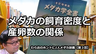 わらおのホントに1人メダカ談義【第3回】メダカの飼育密度と産卵数の関係　メダカ学全書より　滋賀県のメダカ販売店　めだか藁屋　高木正臣