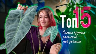 видео: Зелёный Оскар: ТОП‑15 САМЫХ удивительных растений картинка: Зелёный Оскар: ТОП‑15 САМЫХ удивительных растений