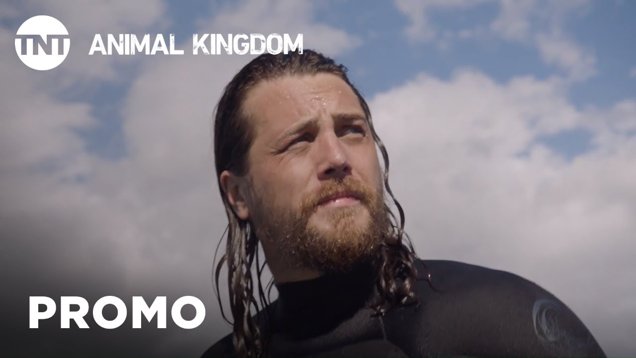 Animal Kingdom Season 4 Coming Soon Promo Tnt Youtube