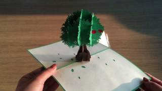 Apple tree pop up card - tree pop up card -birthday pop up card -pop up card manufacturer- CharmPop Update