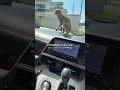 熱さ感じるの遅すぎꉂ🤣𐤔