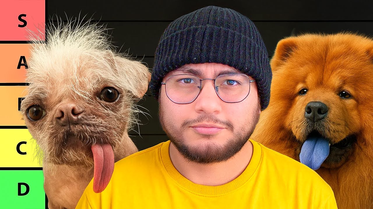 La Tier List De Perros DEFINITIVA (198 Razas)