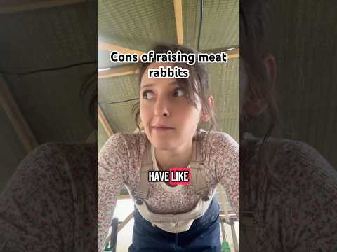 The Cons Of Raising Meat Rabbits MeatRabbits RaisingRabbits HomesteadRabbits RabbitFarming 