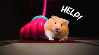 All Poppy Playtime Monster - Hamsterious Vs Impossible Challenges by Hamsterious 252,932 views 1 year ago 1 hour
