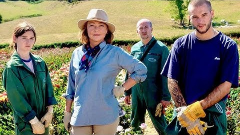 愛するバラ園が倒産の危機！新種のバラを作って一発逆転!?映画『ローズメイカー 奇跡のバラ』特報