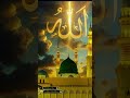 ya ali trend trending love  qawwali madina sarif #love #song #music #qawali #duet #reels