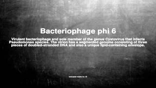 Medical vocabulary: What does Bacteriophage phi 6 mean