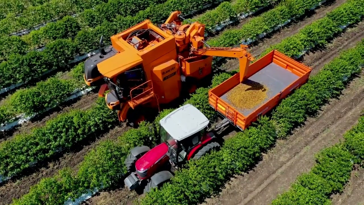 H.E. Prime Minister Dr. Abiy Ahmed Ali at our Gelana Gesha Coffee Farm
