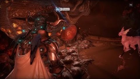 Warframe Helminth eats my kavat!