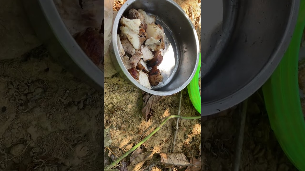 Bữa ăn trưa của mình nhu thế này 