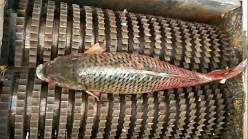 Amazing Machines And Tools Operating At An Insane Level ▶ 2