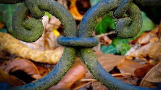 20+2 Wrought Iron fence Ideas
