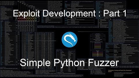 Exploit Development Part 1 : Simple Python Fuzzer