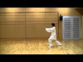 太極拳 初級太極拳 背面 竹内健二 竹内太極拳