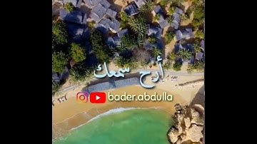إِنَّ أَصْحَابَ الْجَنَّةِ الْيَوْمَ فِي شُغُلٍ فَاكِهُونَ - سورة يس