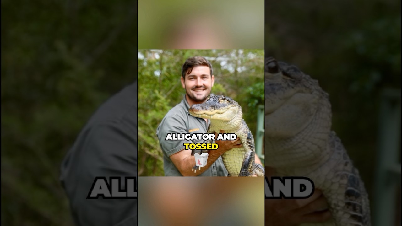 Guy Threw a LIVE Alligator Into a Wendy's Window! 🐊