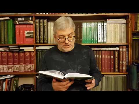 Евгений Водолазкин - Детский сад (2 тур олимпиады по литературе 2017)