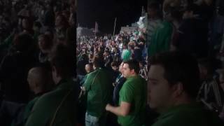 Video thumbnail of "DESPACITO- VERSÃO ORIGINAL!!! v. setubal VS SPORTING"