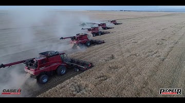 Case IH Combines | IDAHO GRAIN HARVEST