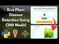 Rice Plant Disease Detection Using AI | Web App for Real-Time Leaf Analysis with CNN