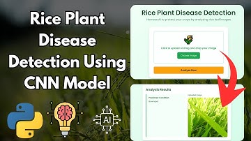 Rice Plant Disease Detection Using AI | Web App for Real-Time Leaf Analysis with CNN