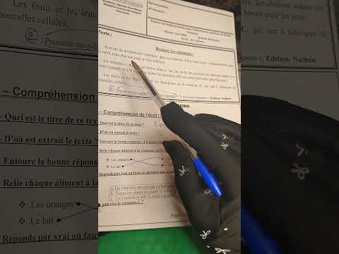6ème année primaire correction de l' examen provincial تصحيح الإمتحان 2الإقليمي اللغة الفرنسية نموذج