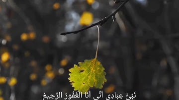 سورة الحجر من الآية  (48)الي (56)