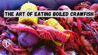 How To Eat Boiled Crawfish The Cajun Way