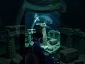 😲 What Was Found Under the Sea?🐠 Ocean Secrets Revealed🌎 Amazing Underwater Advent