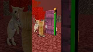 Cats and Doors 2😳