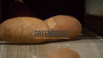 Sweet Potato Sorting & Packaging Machine by GreenGoose