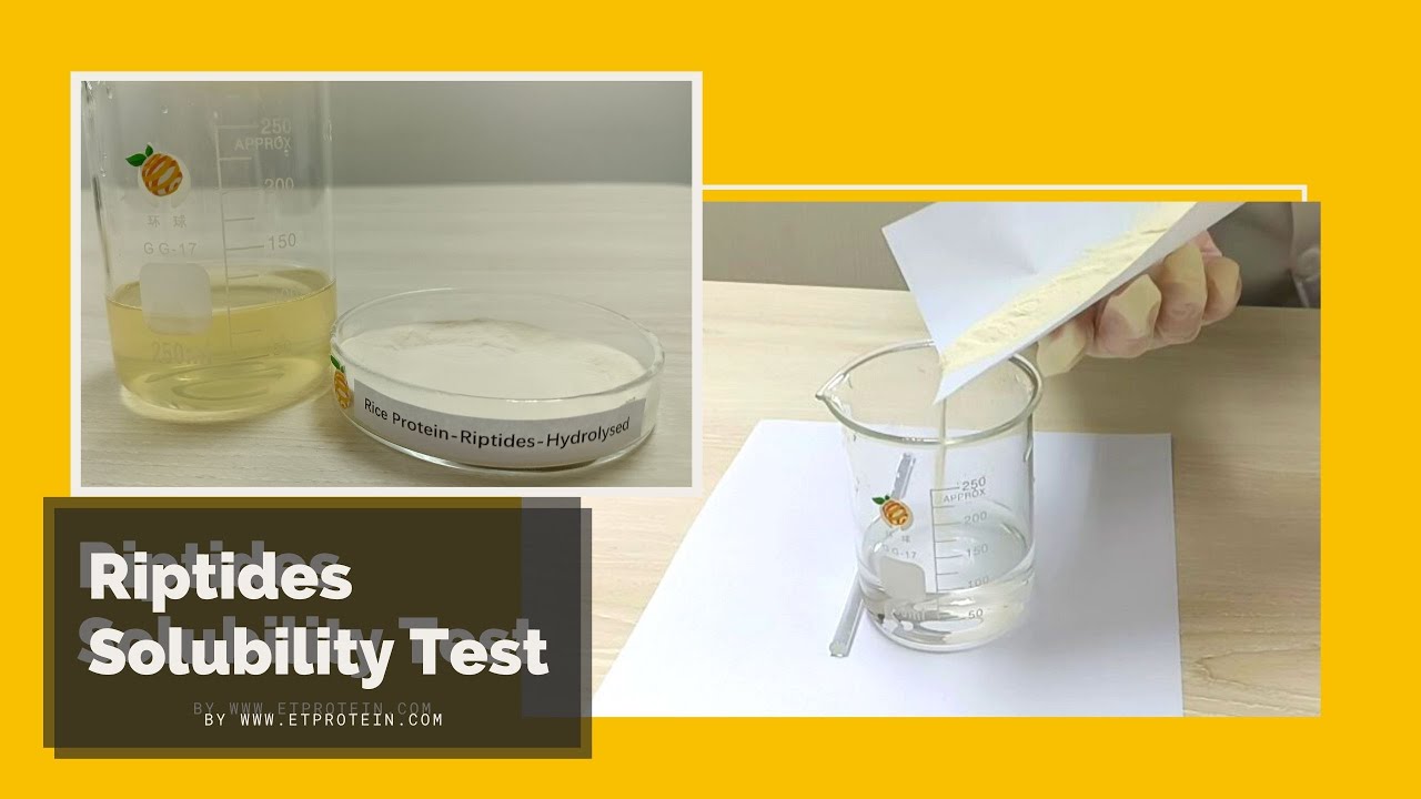 Riptides Clear Rice Protein solubility experiment by ETprotein 2022