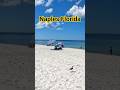 Naples Florida Beach: White Sand Paradise #shorts #beach #beachvibes