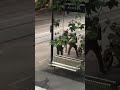 Bourke street Melbourne incident - African guy shot after he attacked Police officers