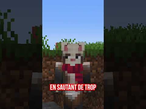 TERMINER Minecraft en 20 SECONDES ! ⏱️
