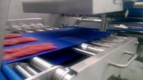 ELCAT Salami Loader With Robot-Assisted Overlapping CAER1