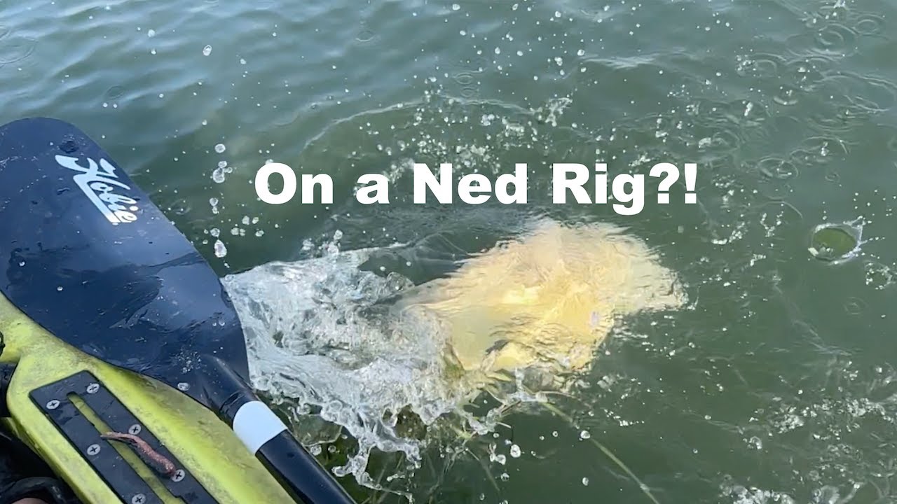 NICE LGMouth & THIS ("drum" roll please) 🔥 Presque Isle (August)