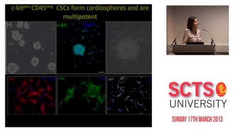 Cardiac Stem Progenitor Cells