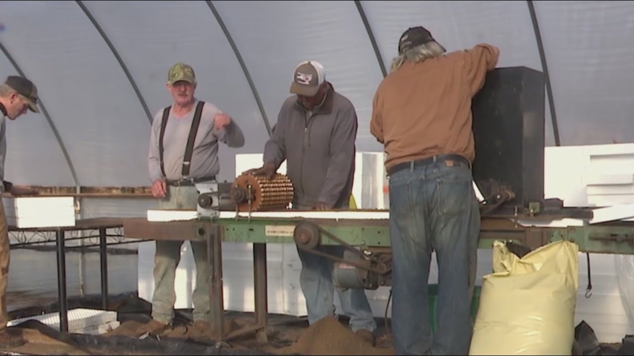 Triad farmers begin planting amid ongoing trade war